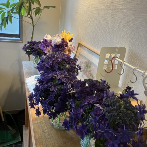 花の季節