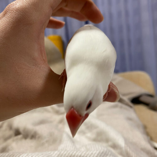 久しぶりの再会