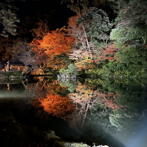 秋の兼六園！