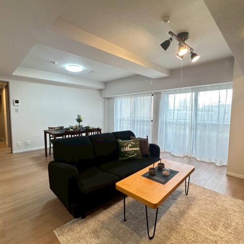 南西向き・暮らしに便利な好立地【ダイアパレス泉本町】