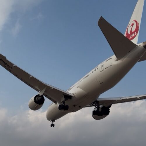 今年もはじまりました。