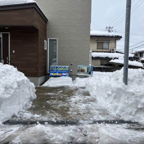 雪かき、そしてまた雪かき。
